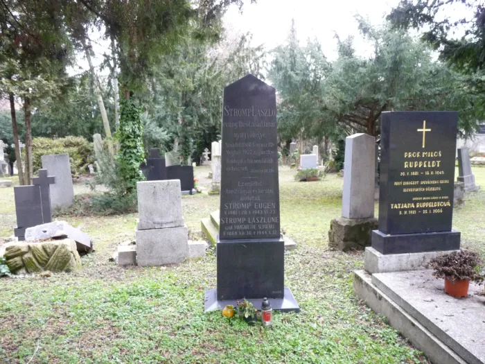 Master file0000065665