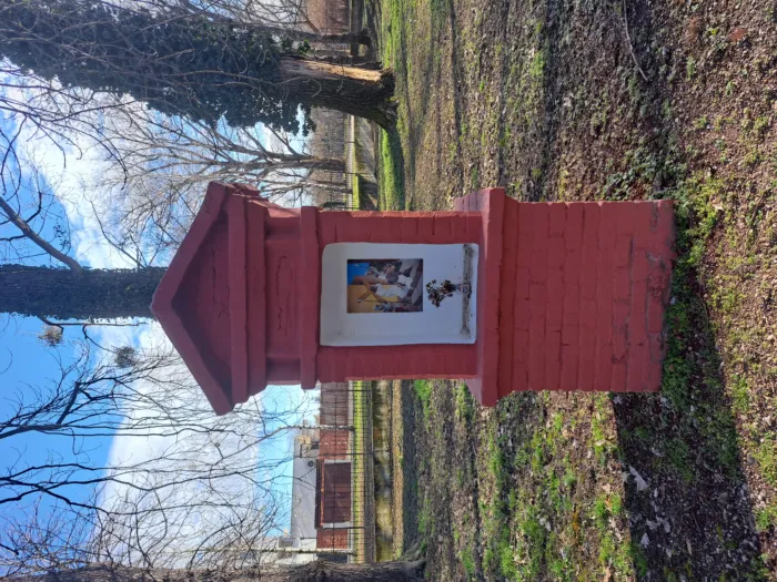 Master file0000081582