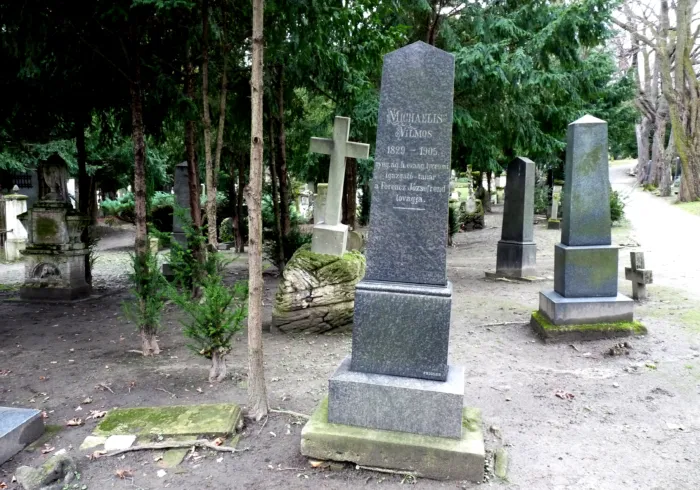 Master file0000065631