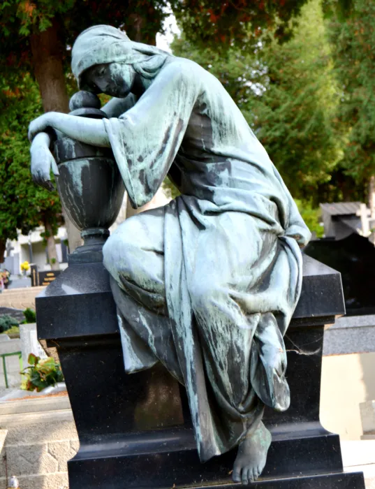 Master file0000063921