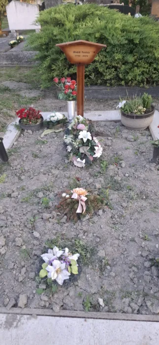 Csicsó Bödők Terézia tanárnő síremléke 20250617 201435
