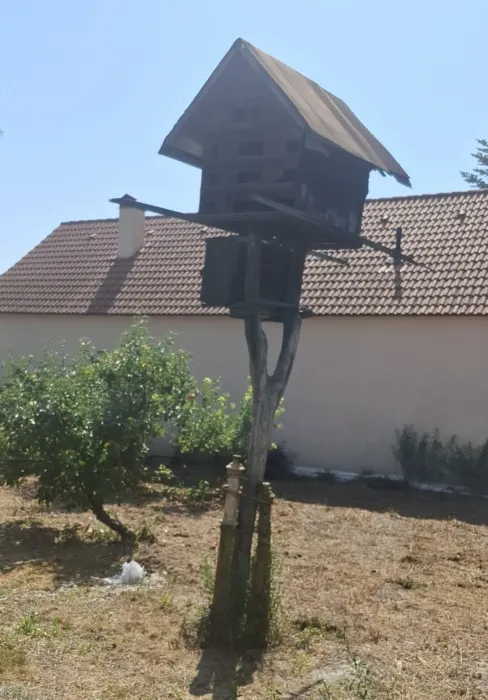 Galamdúc Csicsó 20250816 141239