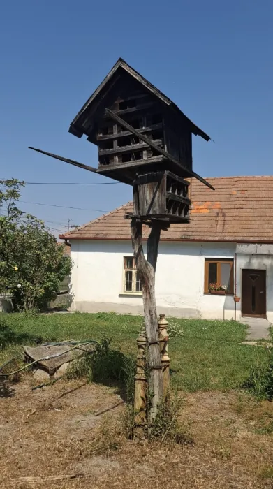 Galamdúc Csicsó 20250816 141251