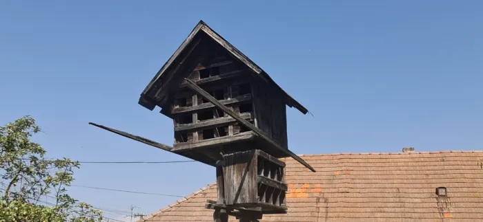 Galamdúc Csicsó 20250816 141258