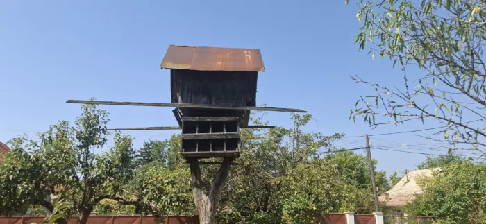 Galamdúc Csicsó 20250816 141313